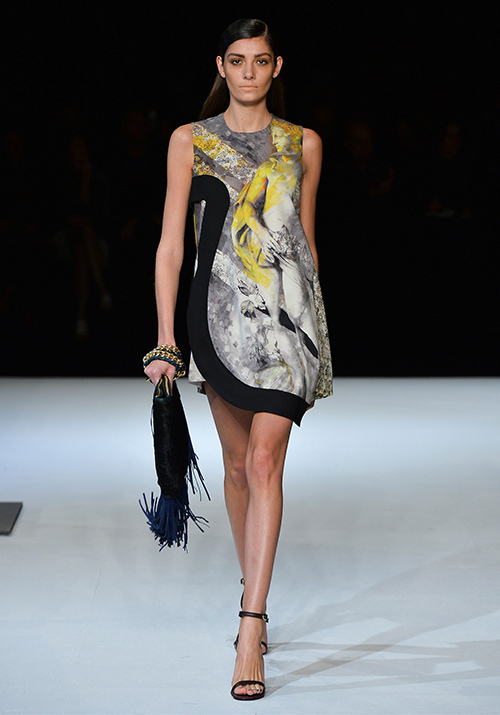 ジャスト カヴァリ(Just Cavalli) 2014-15年秋冬ウィメンズコレクション  - 写真10