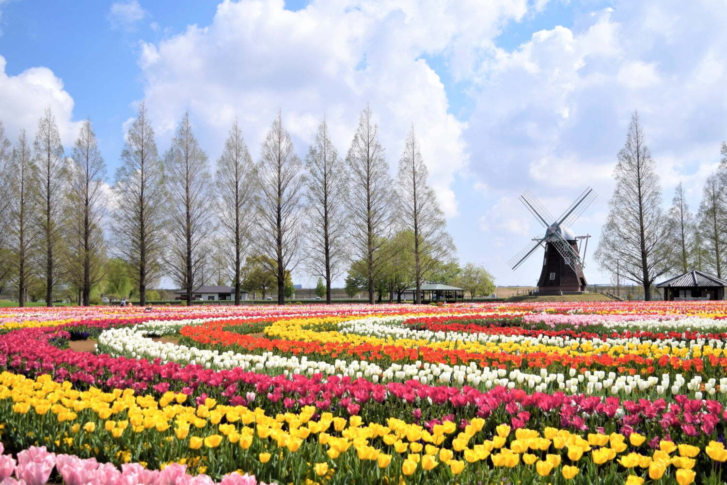 あけぼの山農業公園: 2023年3月25日〜2023年5月7日開催