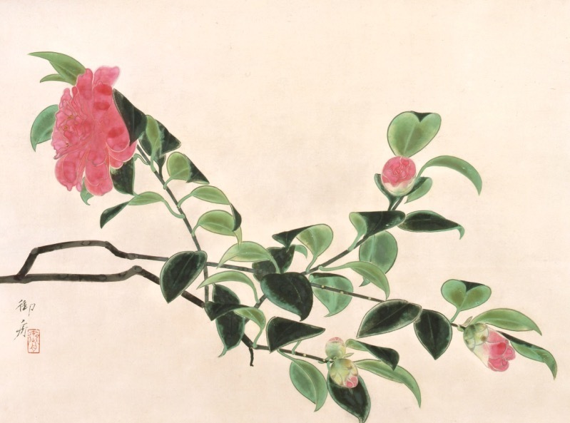 速水御舟 《椿ノ花》 1933年(昭和8年) 紙本・彩色 山種美術館