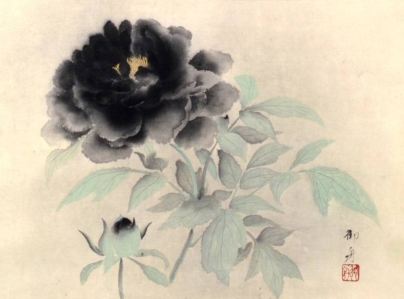 【中古】 近代日本幼稚園教育実践史の研究/学術出版会/小山みずえ 中古】 近代日本幼稚園教育実践史の研究/学術出版会/小山みずえ