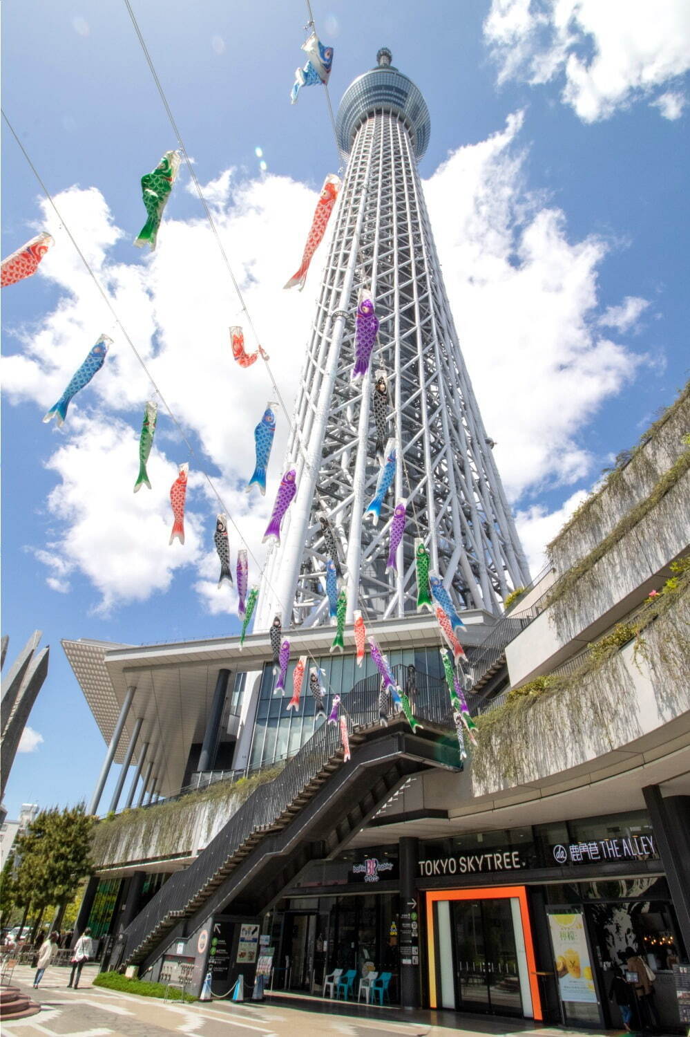 東京スカイツリータウンの2023年GWイベント、人気台湾グルメや約1,500匹のこいのぼり｜写真13