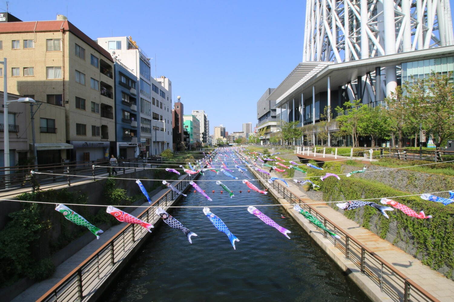 東京スカイツリータウンの2023年GWイベント、人気台湾グルメや約1,500匹のこいのぼり｜写真11