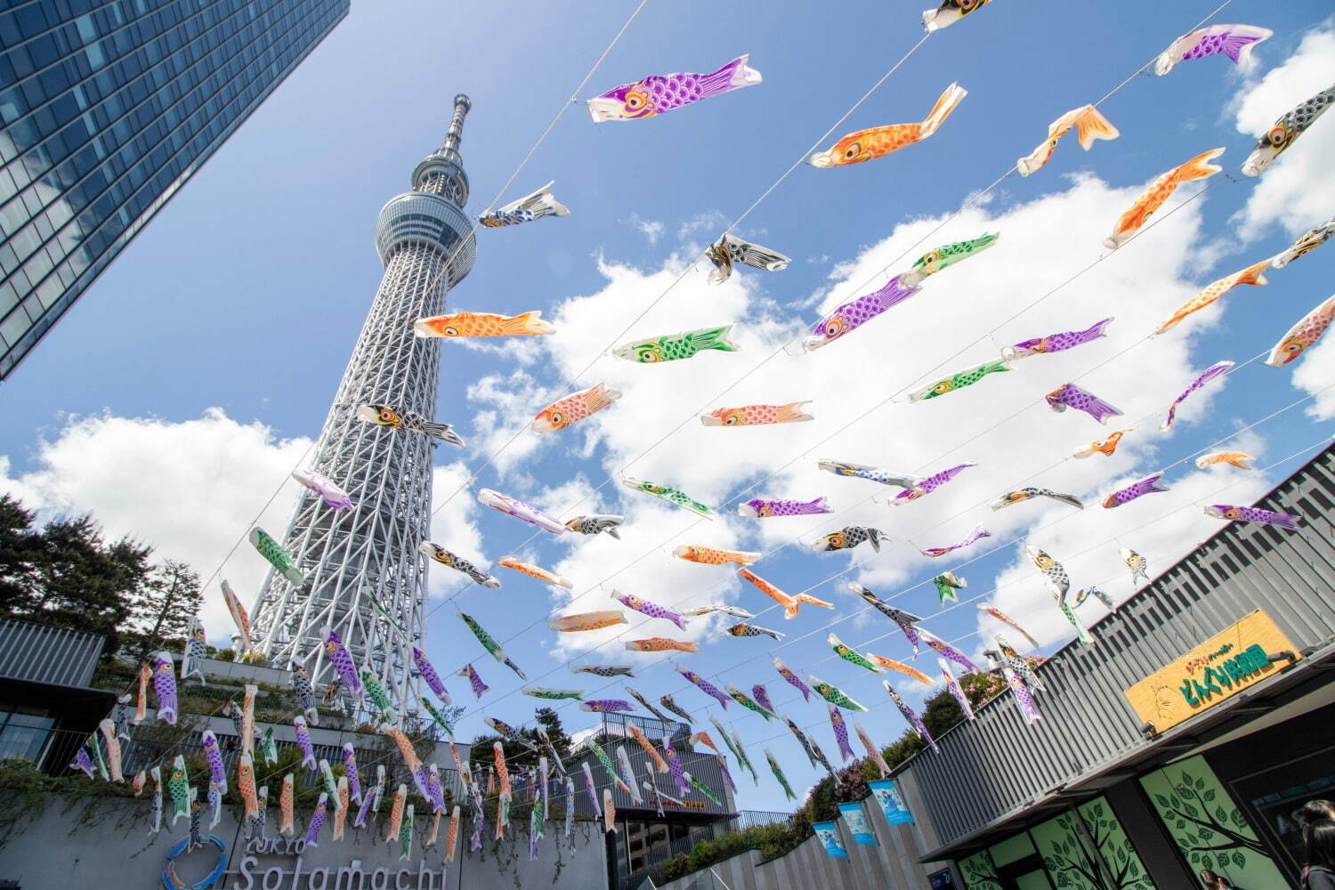 東京スカイツリータウンの2023年GWイベント、人気台湾グルメや約1,500匹のこいのぼり｜写真12