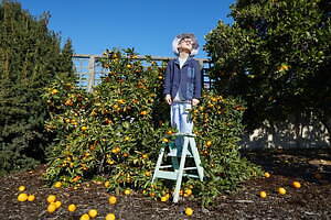 ザラ ストゥディオ コレクション キッズ(ZARA STUDIO COLLECTION  KIDS) 2023年春夏ウィメンズ&メンズコレクション  - 写真107