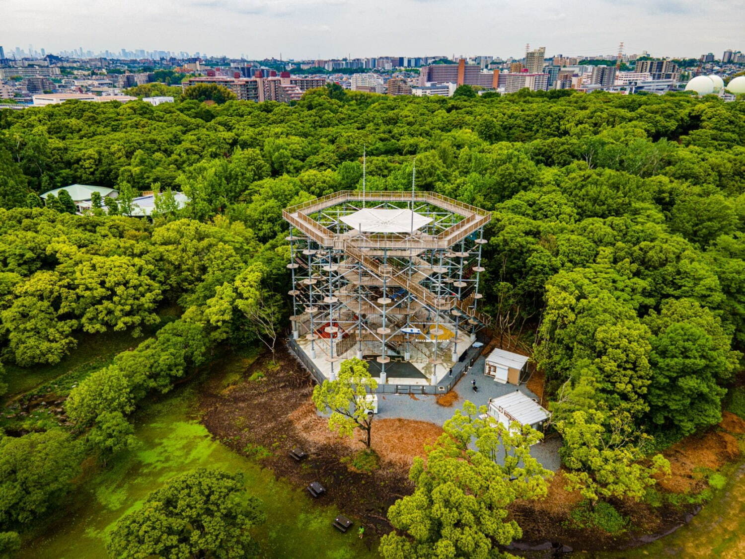 大阪・万博記念公園“世界最大級”アスレチックタワー「万博ビースト」リニューアル、新アクティビティも｜写真1