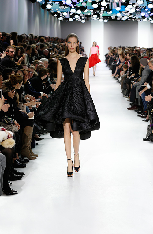 ディオール(DIOR) 2014-15年秋冬ウィメンズコレクション  - 写真39