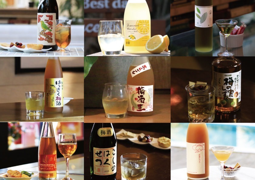 「全国梅酒まつり」JR博多駅前広場で、全国から集まる“154種類”の梅酒を飲み比べ｜写真4
