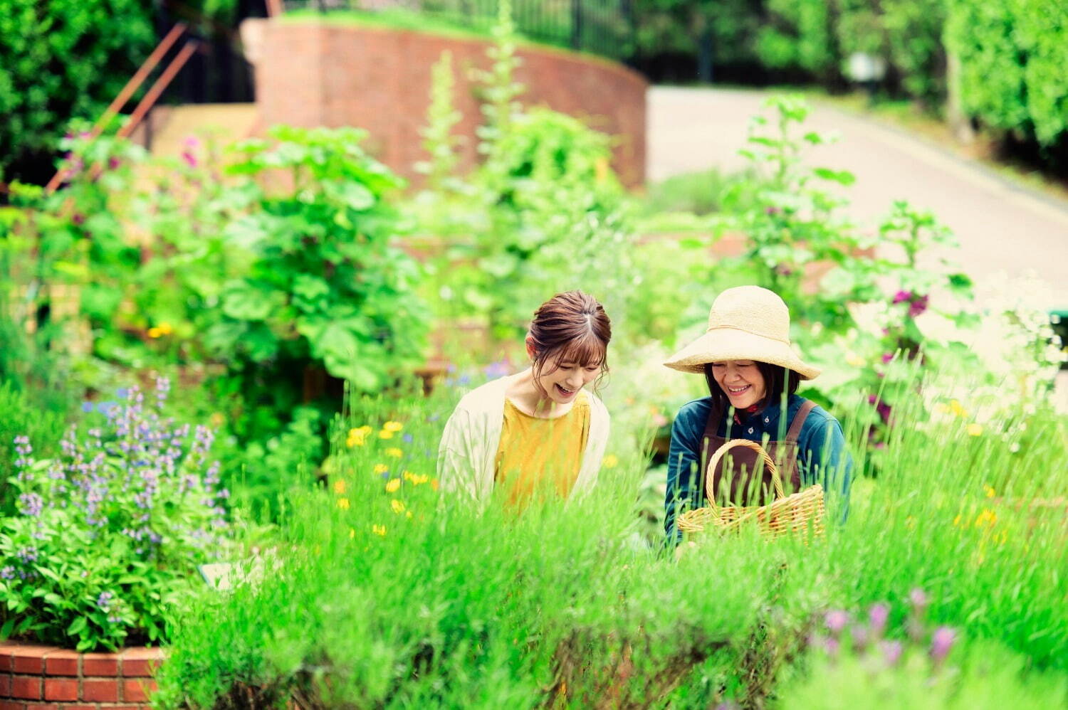 神戸布引ハーブ園“鮮やかなチューリップ＆山桜”が咲く春イベント、幻想的なイルミネーションも｜写真11