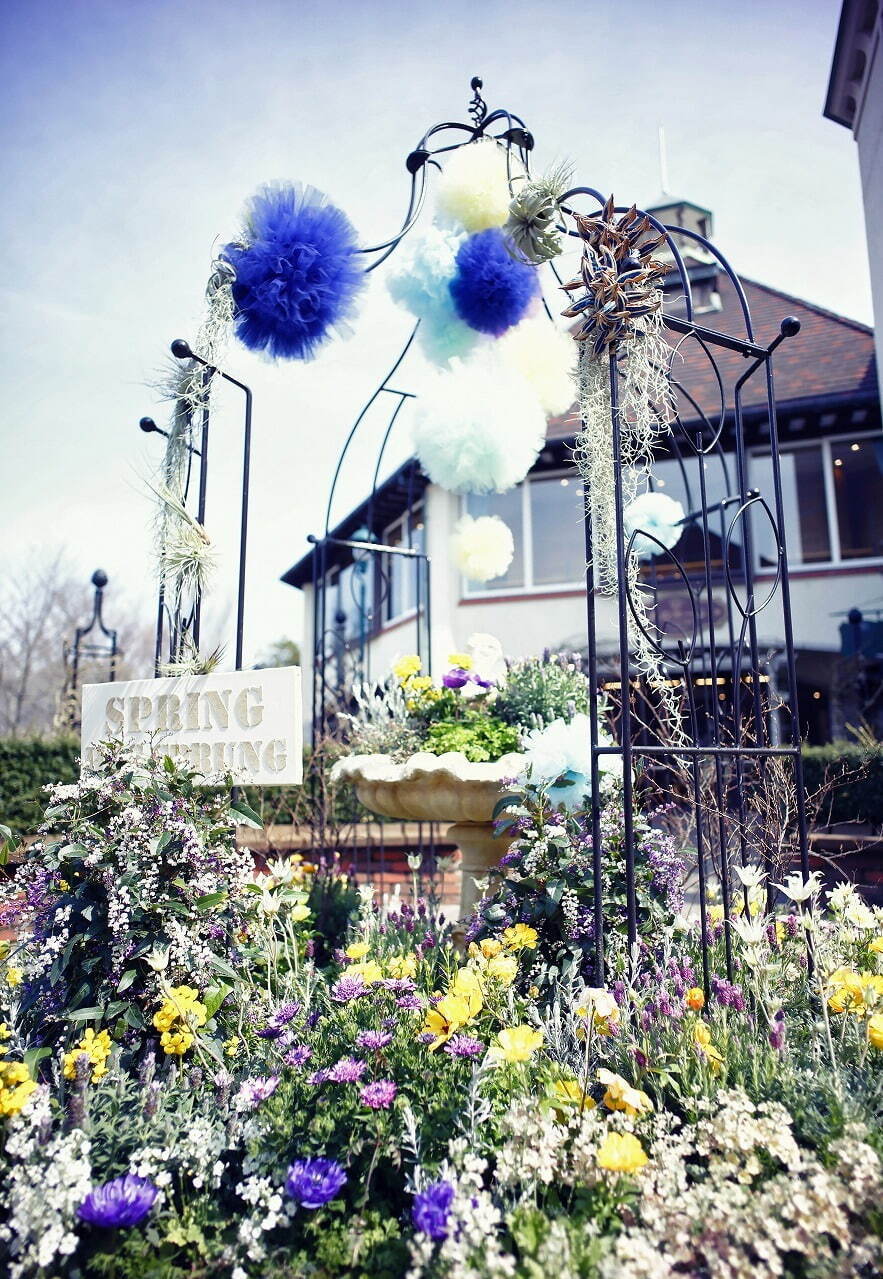 神戸布引ハーブ園“鮮やかなチューリップ＆山桜”が咲く春イベント、幻想的なイルミネーションも｜写真7