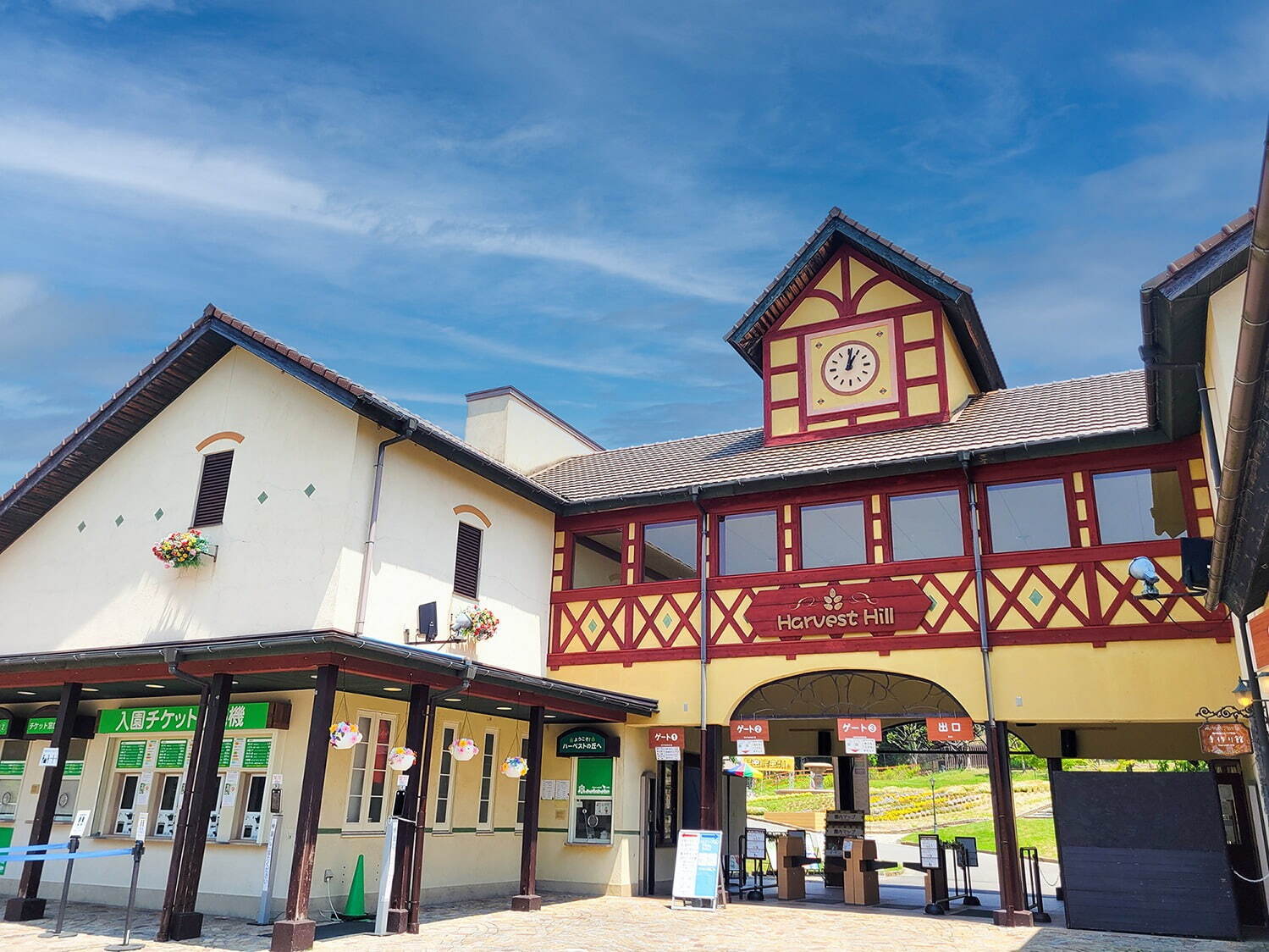 大阪「堺・緑のミュージアム ハーベストの丘」に9万本のチューリップが開花、広大な敷地をカラフルに彩る｜写真14
