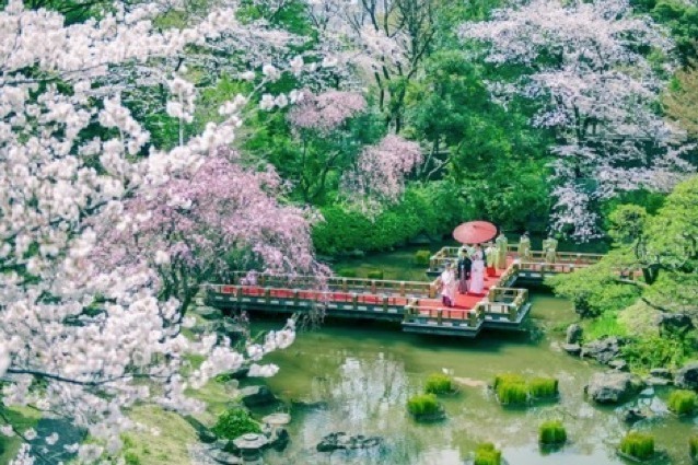 庭園｜縁結びの“幸せ桜”が咲く「東郷さくらまいり」原宿・東郷記念館で、ビームスとのコラボお守りも