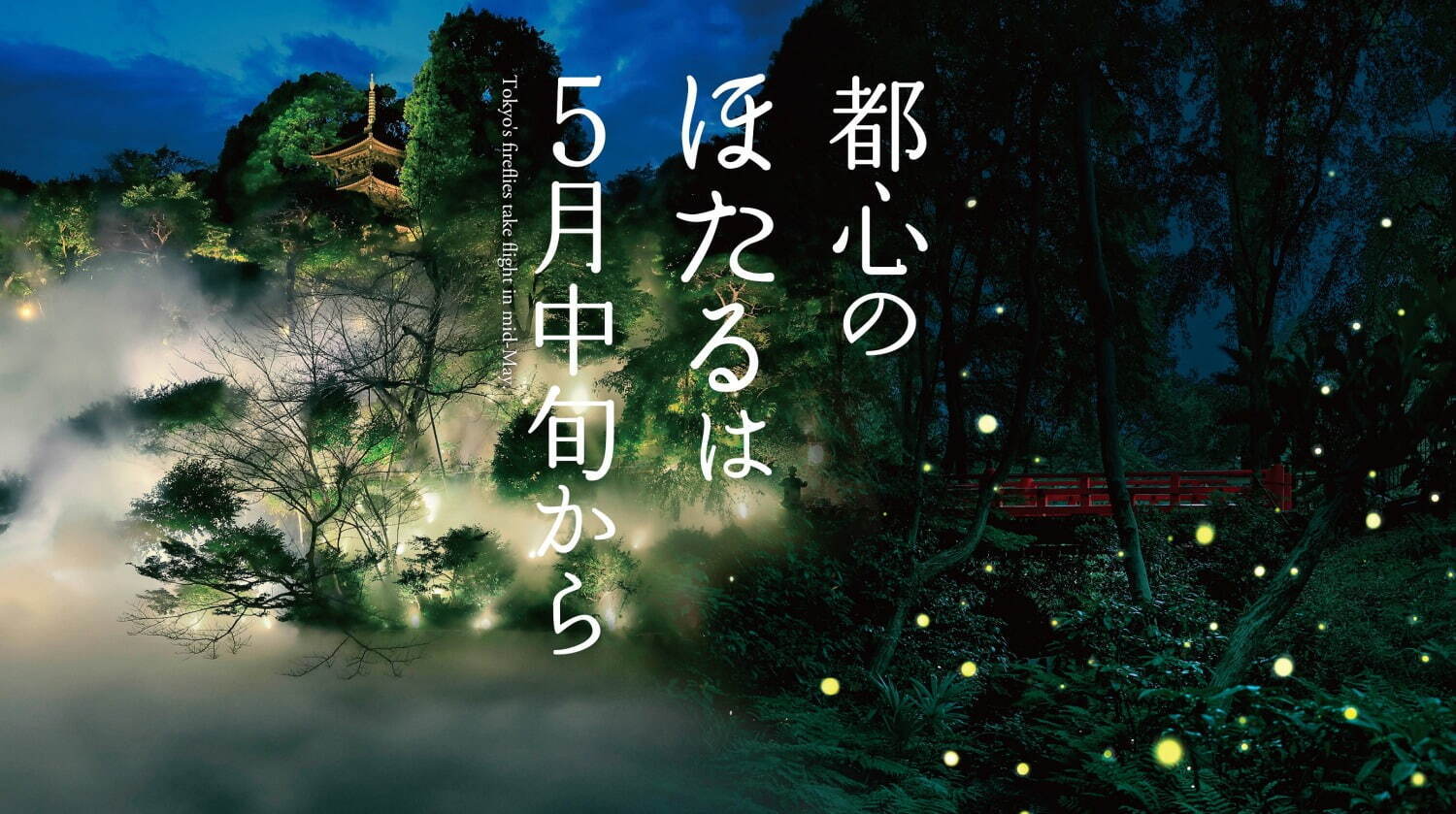 ホテル椿山荘東京「ほたるの夕べ」ビュッフェや閉園後の幻想的な庭園で蛍観賞＆散策｜写真3