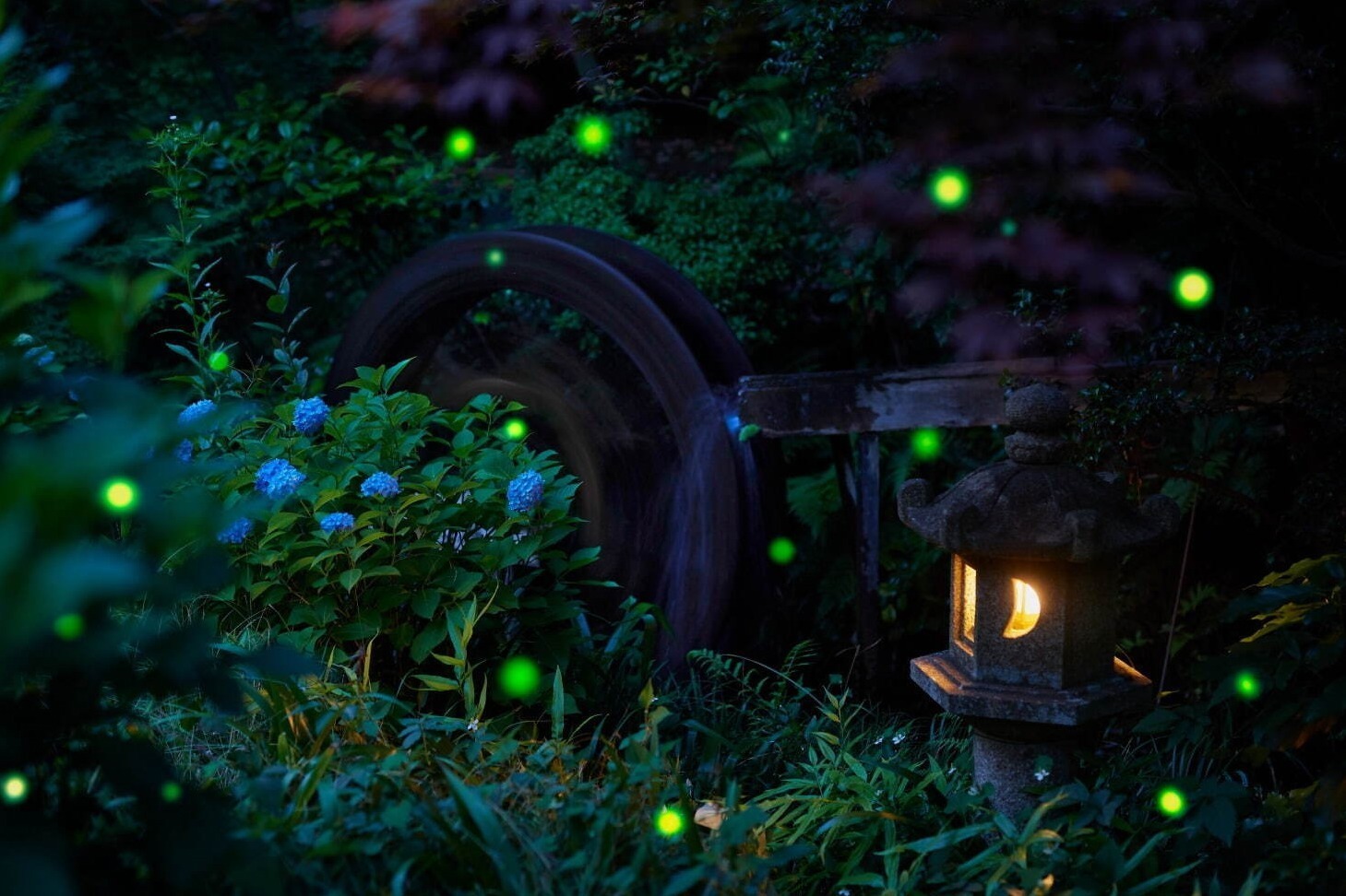 ステーキ｜ホテル椿山荘東京「ほたるの夕べ」ビュッフェや閉園後の幻想的な庭園で蛍観賞＆散策