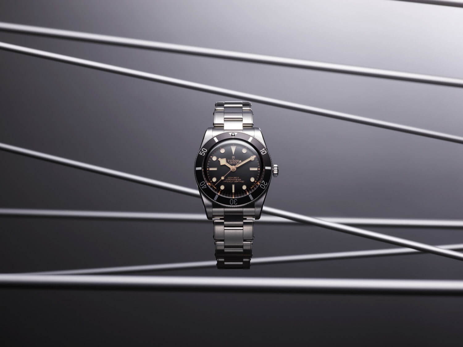 チューダー(TUDOR) ブラックベイ 54｜写真8