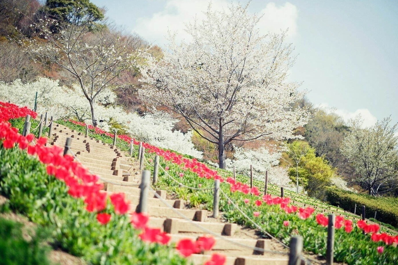 餃子｜関西のゴールデンウィーク2023、大阪や京都のおすすめGWイベント＆人気おでかけスポット