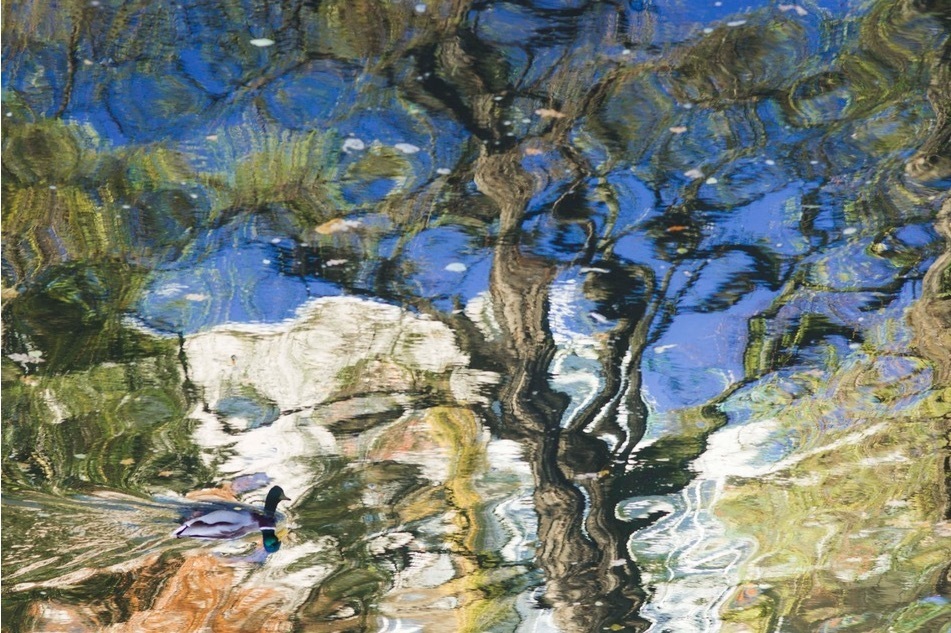 写真｜水谷太郎の個展がエンダースキーマ「隙間」で - 現実と虚構のあわいに震える新作写真を発表