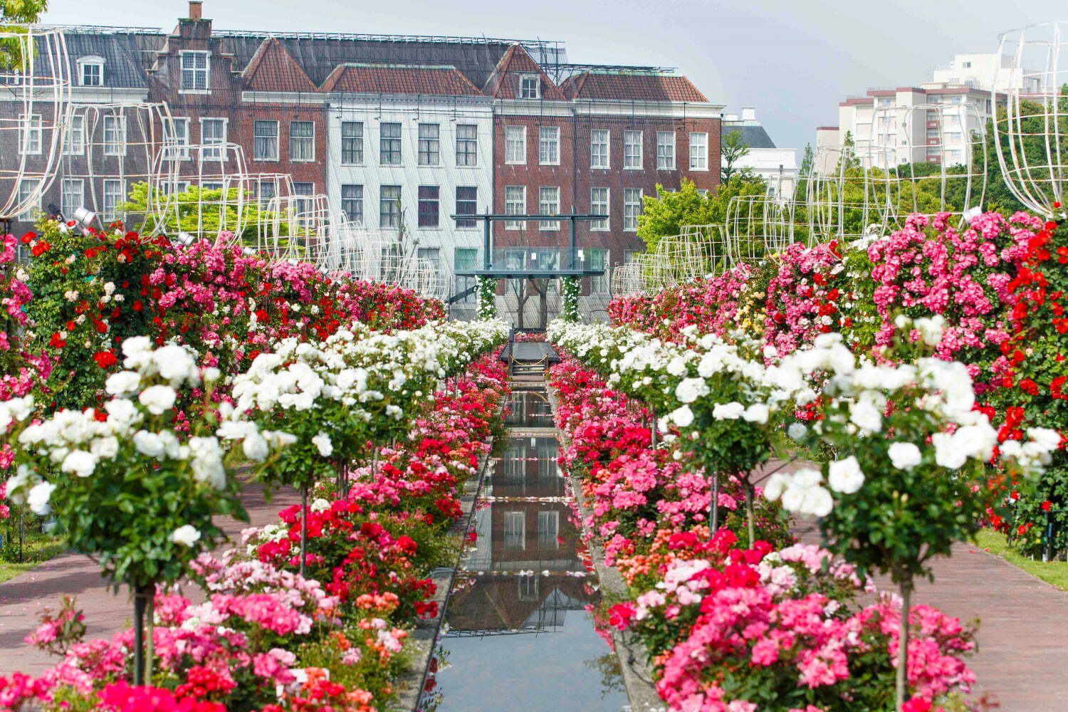 ハウステンボス「バラ祭」