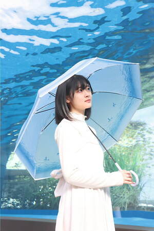 Wpc.×サンシャイン水族館“天空のペンギン”が雨傘に！羽ばたくペンギンをプリント｜写真1