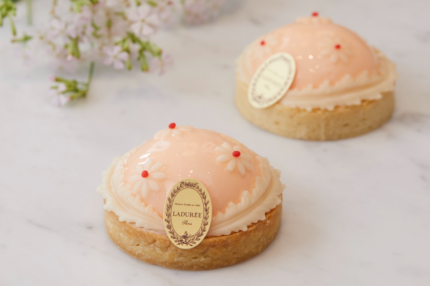 ラデュレ春新作スイーツ、白い小花が咲くタルト＆母の日限定