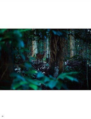 ニードルズ(NEEDLES) 2014年春夏メンズコレクション  - 写真6