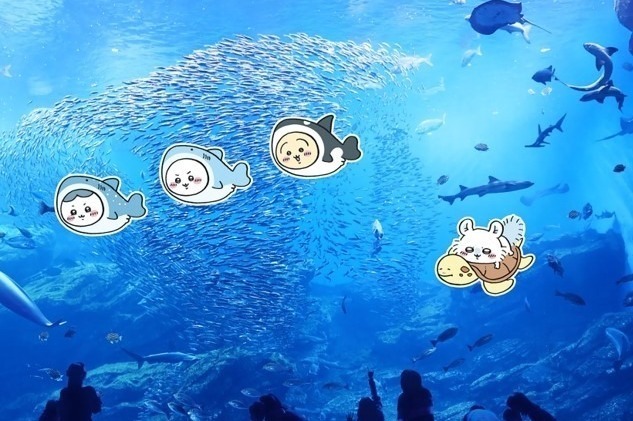 ちいかわ　うさぎ　マスコット　黒猫　七夕　光る輪っか　水族館　イルカ ちいかわ水族館 イルカなうさぎマスコット | ちいかわマーケット