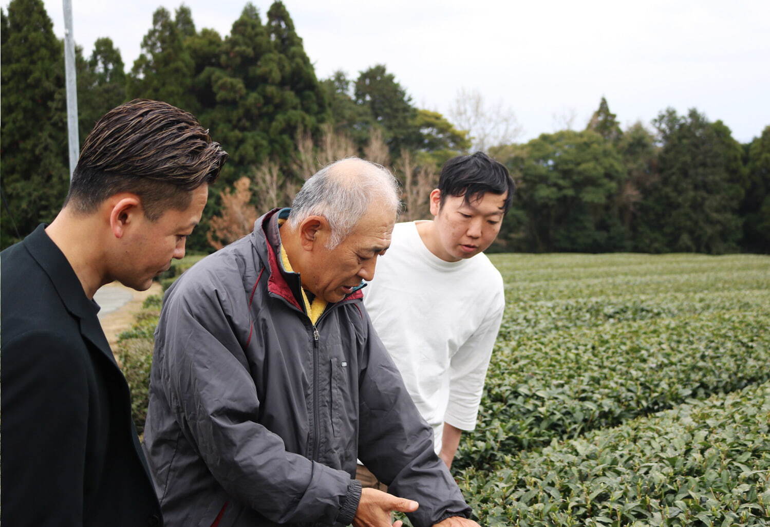 グランド ハイアット 福岡「八女茶アフタヌーンティー」、“極上煎茶”使用のショコラ＆パンケーキ｜写真5