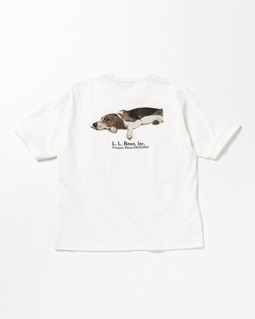 L.L.Bean × BEAMS / 別注 tシャツ