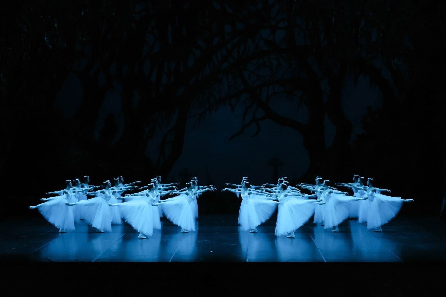 東京バレエ団『ジゼル』全2幕、ロマンティック・バレエ不朽の名作を東京文化会館で