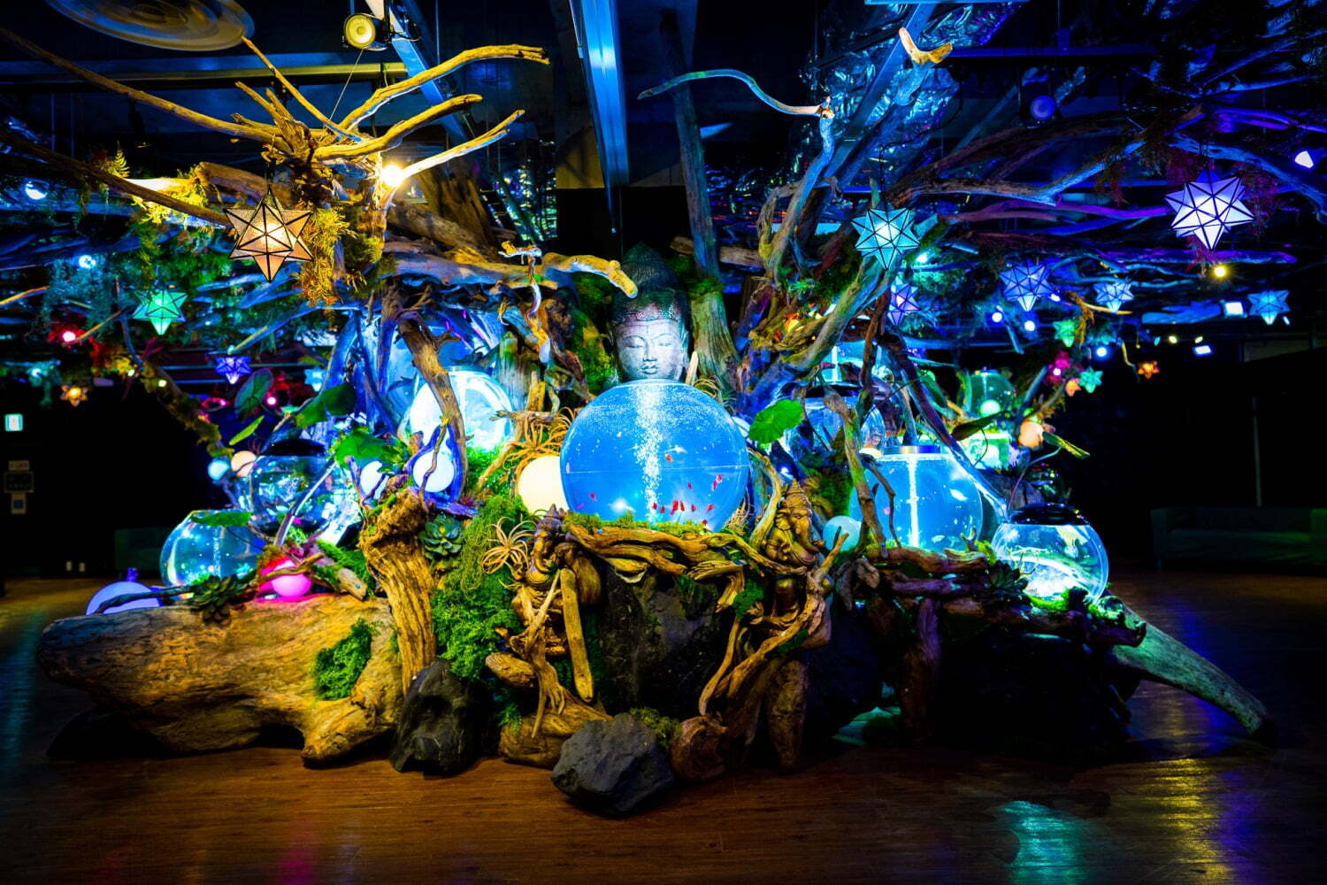 水族館｜「奈良いきものミュージアム」オープン、アートな空間にカメレオンやウーパールーパーなど集結