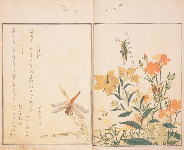 展覧会「虫めづる日本の人々」サントリー美術館で “虫”にまつわる絵画や工芸品などを展示 ファッションプレス