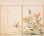 展覧会「虫めづる日本の人々」サントリー美術館で - “虫”にまつわる絵画や工芸品などを展示｜写真10