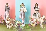 キューポットドレス(Q-pot. Dress) 子犬のワルツ｜写真14