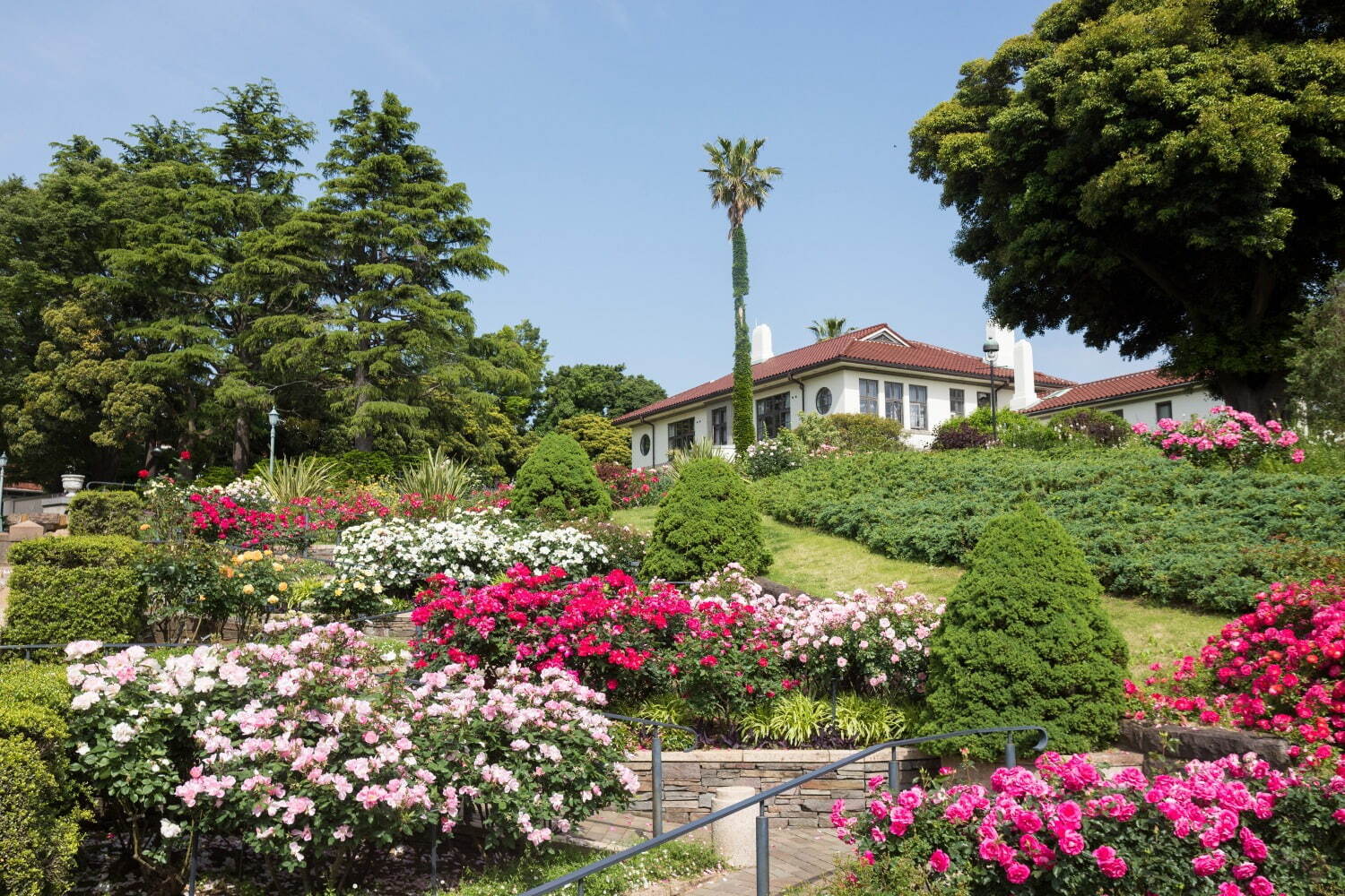 港の見える丘公園「バラとカスケードの庭」※過去の様子