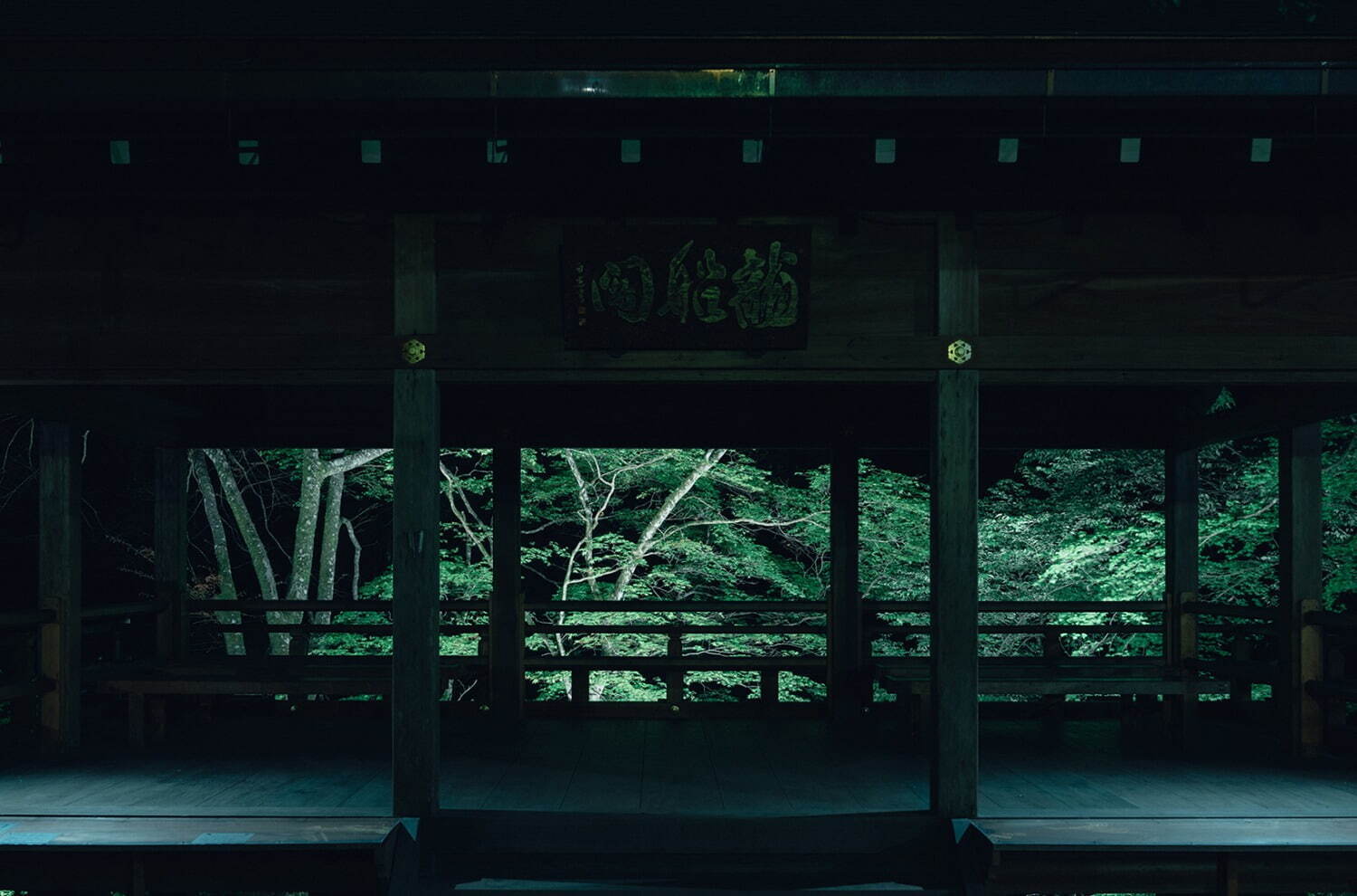 京都「貴船神社」の新緑ライトアップ、3000本の青もみじに包まれる“縁結びの神社”｜写真6