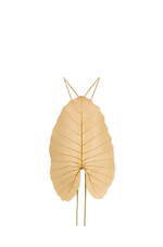 ロエベ(LOEWE) パウラズイビザ｜写真24