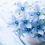 ウルリス×アクア シャボン初コラボ、数量限定！“ウォータリーブーケ香る”爽やかヘアケアセット｜写真5