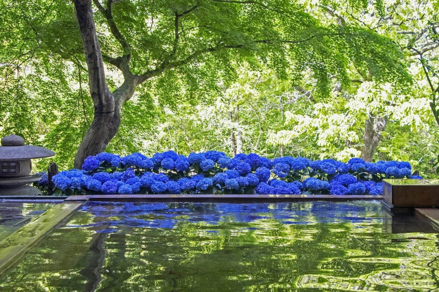 星野リゾート 界｜星野リゾートの温泉旅館「界 箱根」あじさい尽くしのイベント、花水盤や温泉で寛ぐ宿泊プラン