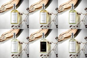 セント オブ ザ ワン(SCENT OF THE ONE) セント オブ ザ ワン｜写真1