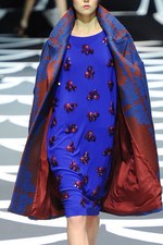 ダイアン フォン ファステンバーグ 2014-15年秋冬コレクション - 冨永愛もランウェイに登場！｜写真39