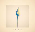 心得 風間公親－教場０－｜写真2