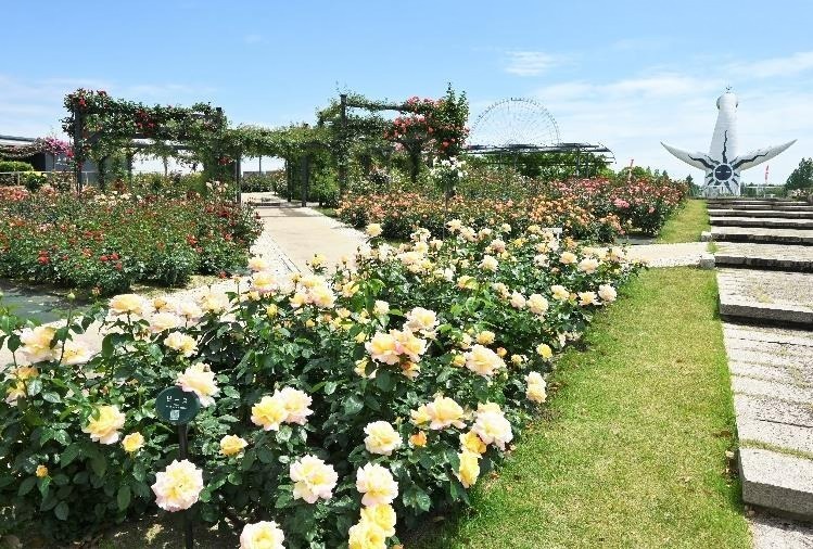大阪・万博記念公園「春のローズフェスタ」約2,400株の春バラに包まれる“花と香り”の空間｜写真1