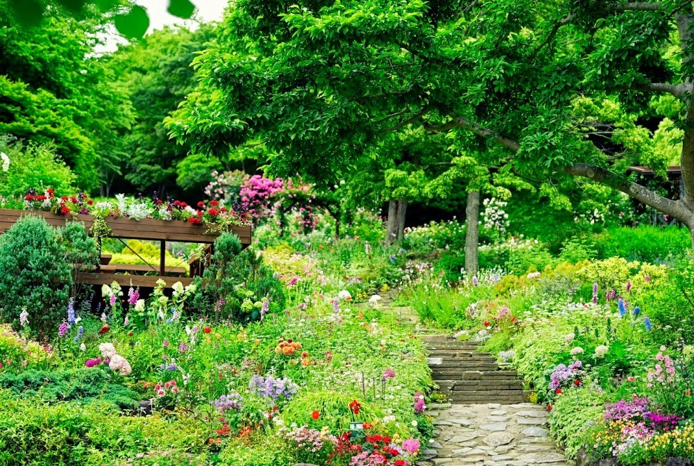 「神戸布引ハーブ園」ラベンダー＆ローズが咲き誇る初夏のフラワーイベント、花々に包まれる優雅な1日｜写真19