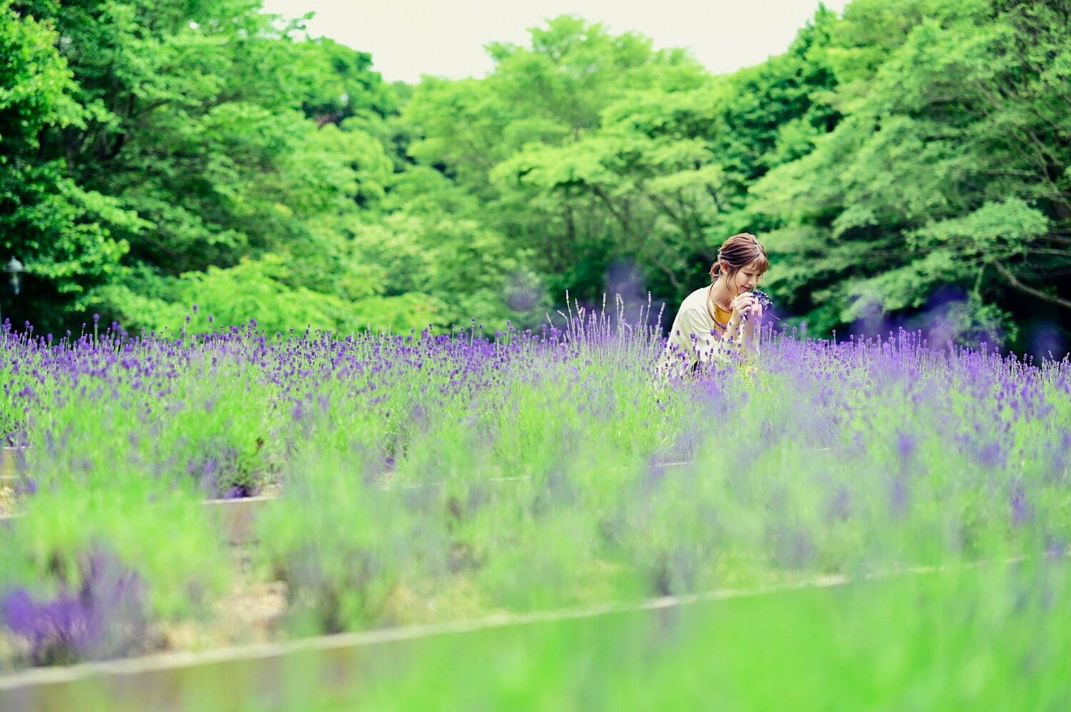 「神戸布引ハーブ園」ラベンダー＆ローズが咲き誇る初夏のフラワーイベント、花々に包まれる優雅な1日｜写真10