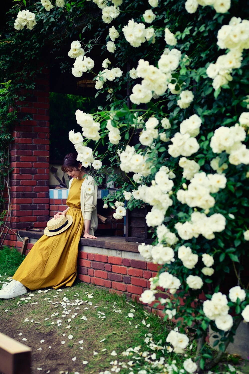 「神戸布引ハーブ園」ラベンダー＆ローズが咲き誇る初夏のフラワーイベント、花々に包まれる優雅な1日｜写真5