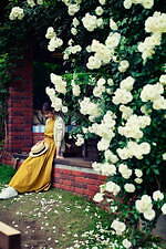 「神戸布引ハーブ園」ラベンダー＆ローズが咲き誇る初夏のフラワーイベント、花々に包まれる優雅な1日｜写真5