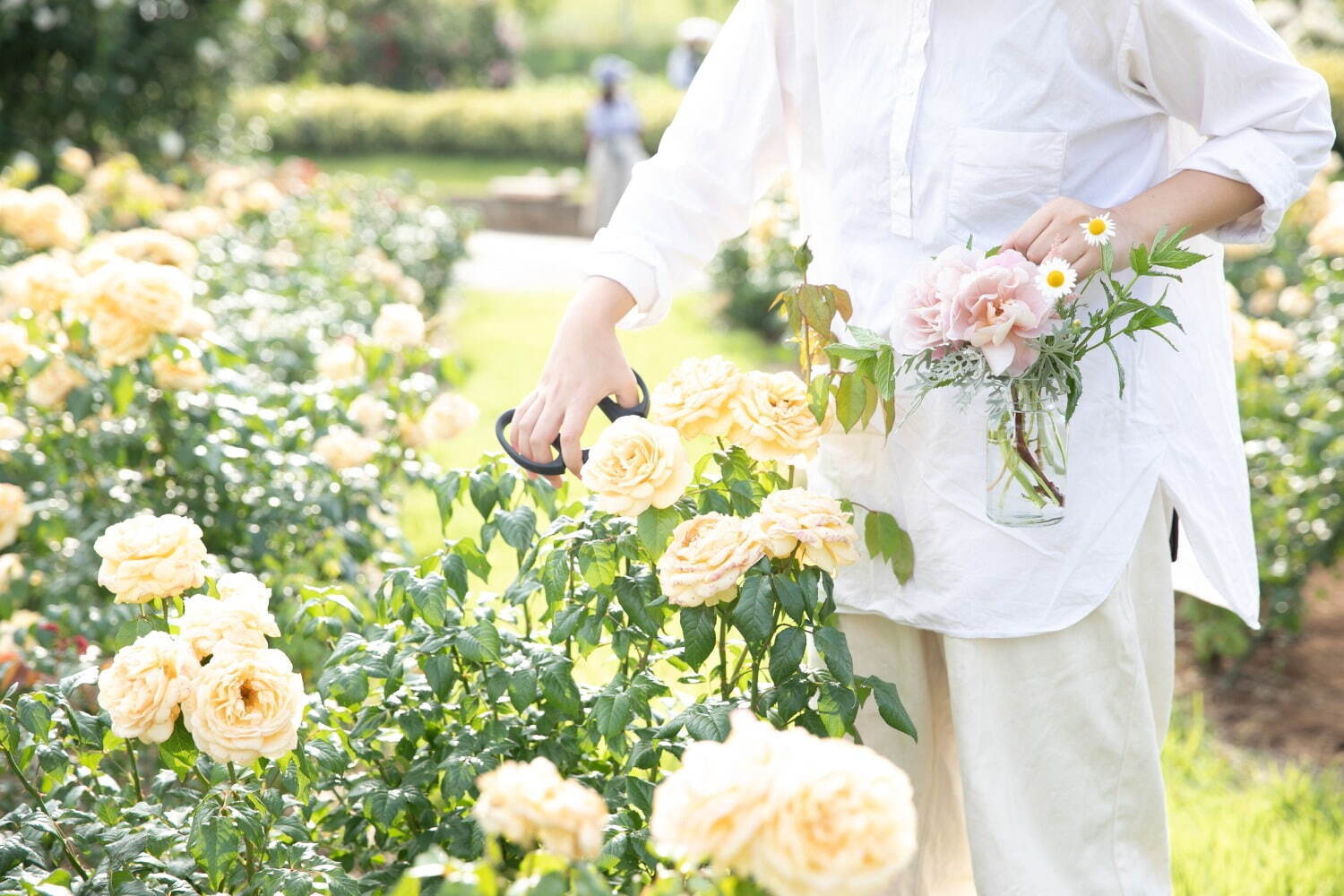 「春バラと初夏の草花摘み」
開催日：春バラシーズン中
参加費：ハンギングボトル 2,000円／花かご 3,000円