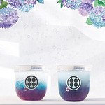 甘味処鎌倉(Kanmidokorokamakura) わらびもちドリンク あじさい｜写真2