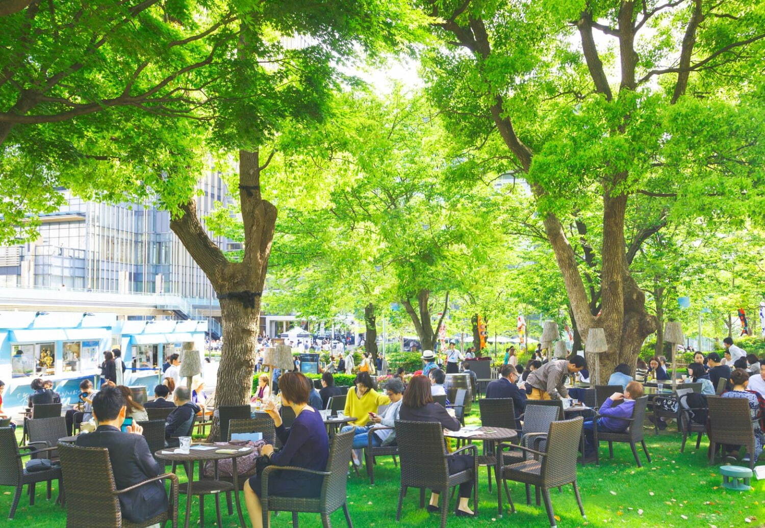 東京ミッドタウンの23年夏イベント、緑に囲まれたガーデンラウンジ＆“足水”で楽しむ夕涼み｜写真2
