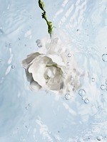 シャネル23年夏スキンケア、“マイクロ バブル”の力で潤いチャージ！目もと用保湿クリーム｜写真6