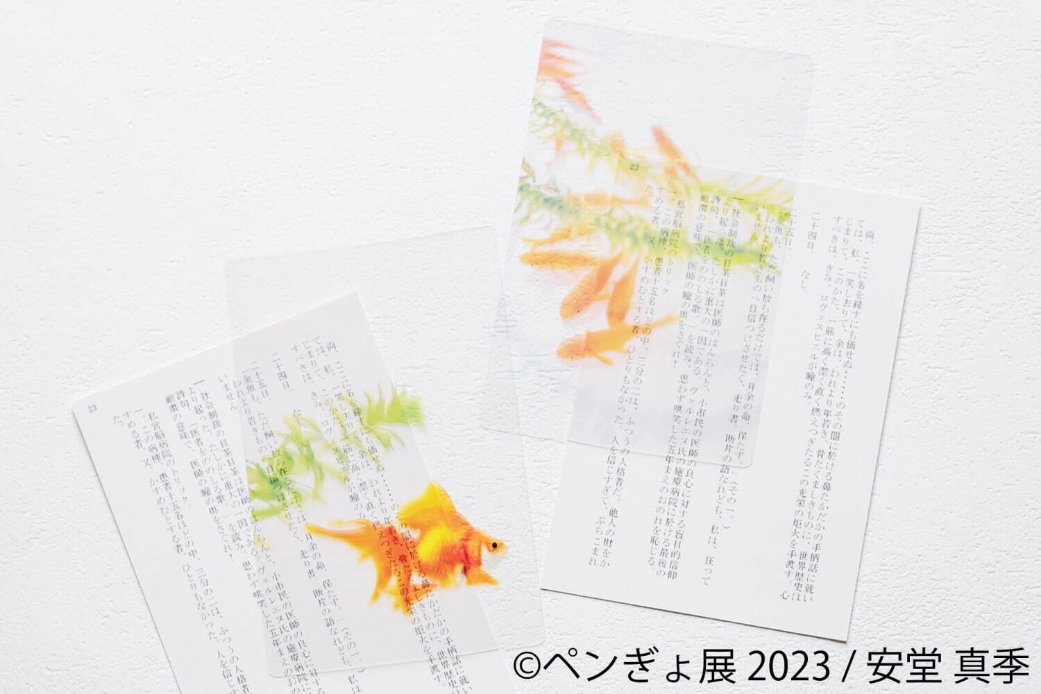 本の中を金魚が泳ぐ透明写真栞 600円